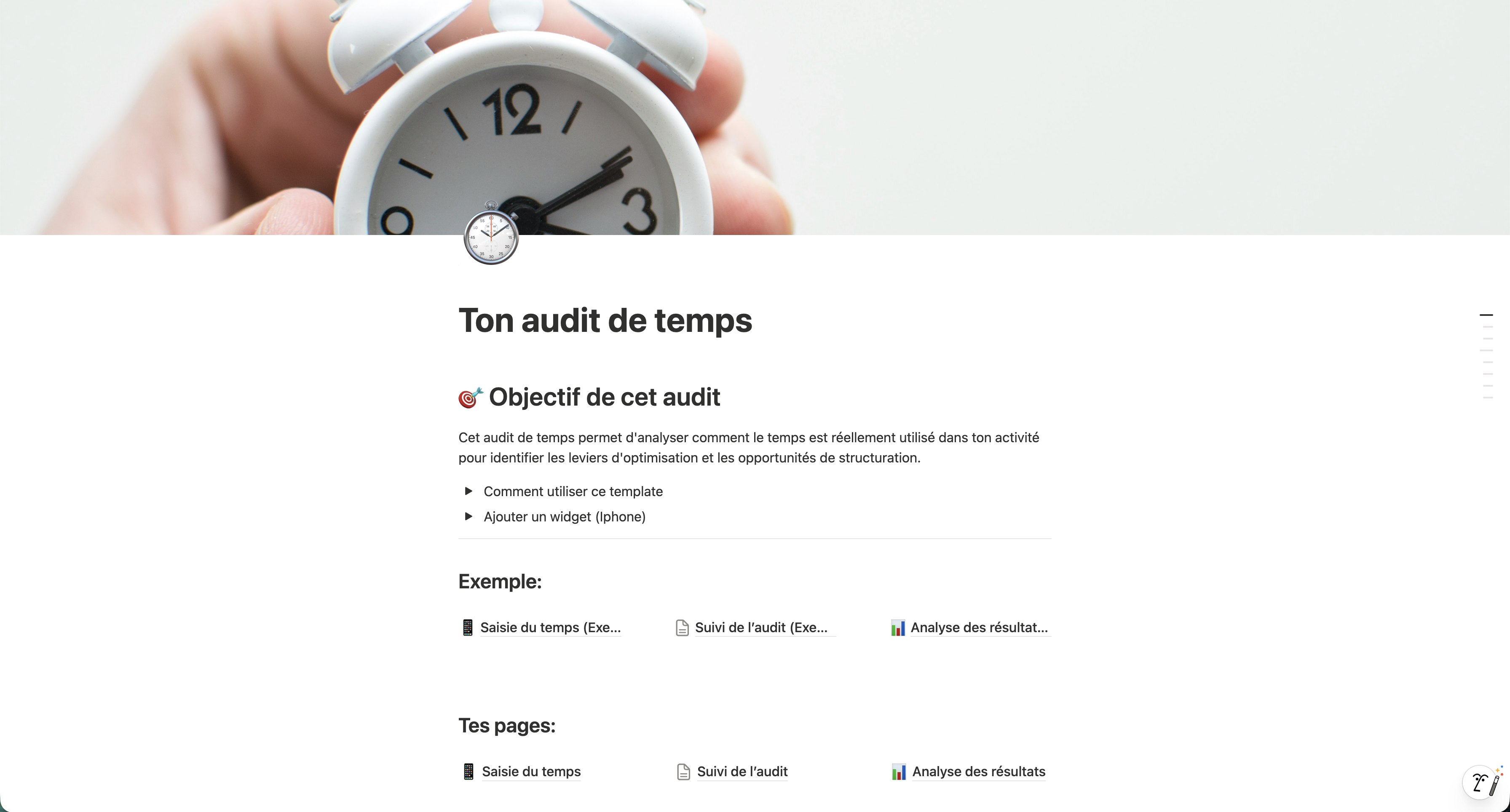 Aperçu du template Notion d'audit de temps